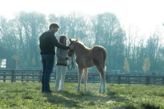 Siła naszych marzeń