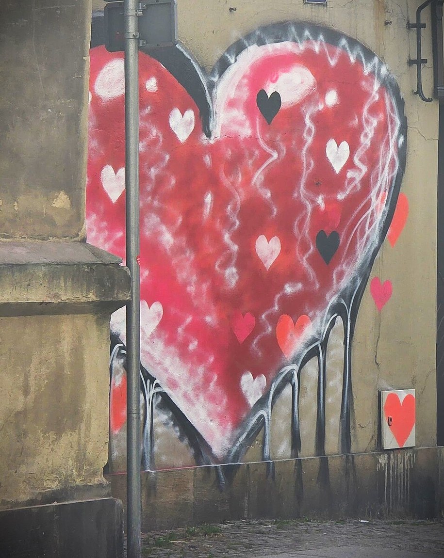 /Policja Dolnośląska /