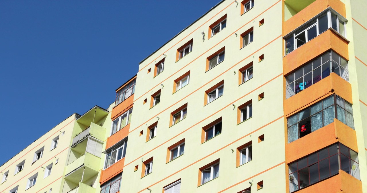 Są dorośli, przez cały czas mieszkają ze współlokatorami. "Wciąż muszę się tłumaczyć"