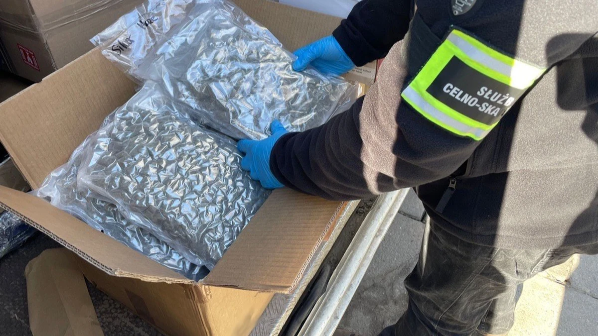 Funkcjonariusze Krajowej Administracji Skarbowej w Łodzi przechwycili niemal 13 kilogramów marihuany ukrytej w przesyłkach kurierskich nadanych w Hiszpanii. Wartość przejętych narkotyków oszacowano na blisko 635 tysięcy złotych. W akcji kluczową rolę odegrał pies służbowy Furia.