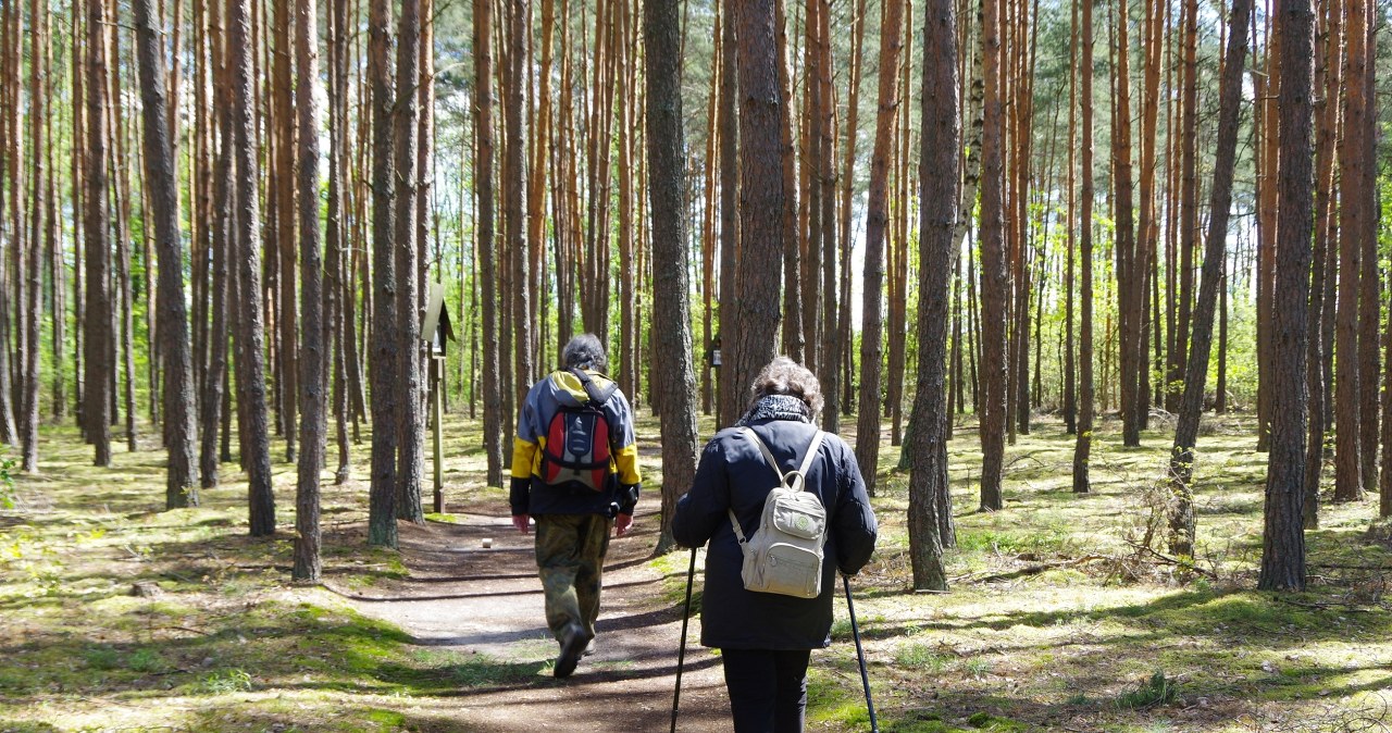 Idealna trasa na wiosenny wypad z Krakowa. Łatwy szlak i piękne panoramy