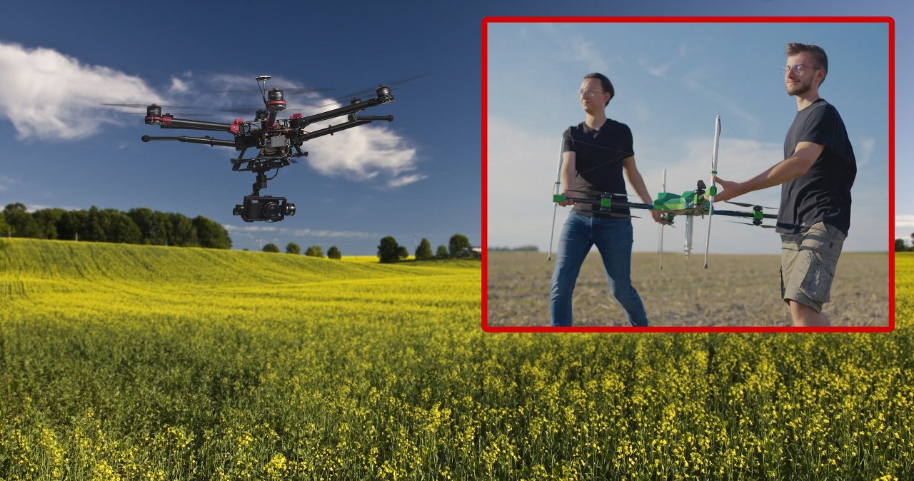 Polak z elitarną nagrodą w USA. AI i drony rewolucjonizują uprawy