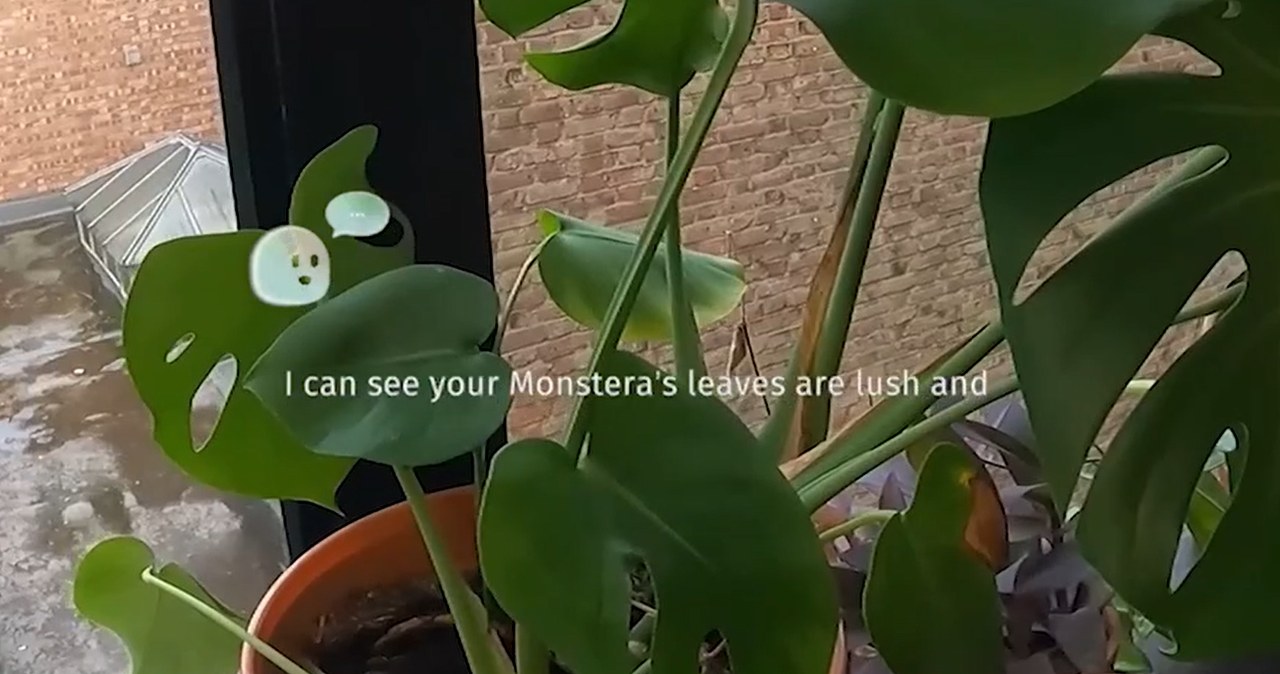 Okulary dla osób z demencją. CrossSense zwiększa samodzielność pacjentów