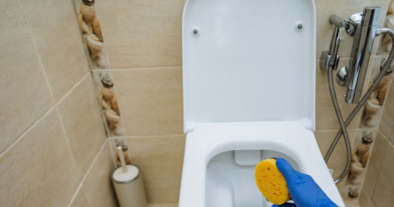 Wsyp do toalety i zostaw na noc. Rano nie będzie śladu po zaciekach