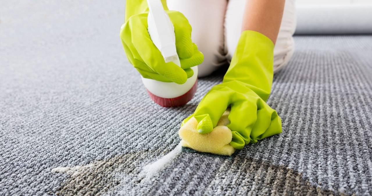 Nie musisz prać dywanu na święta. Spryskaj go tym, by wyglądał, jak nowy