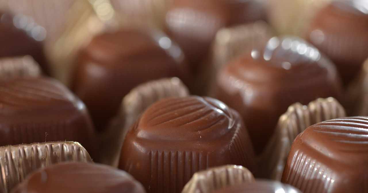 Felieton Gwiazdowskiego: Fanatyzm gorszy od faszyzmu