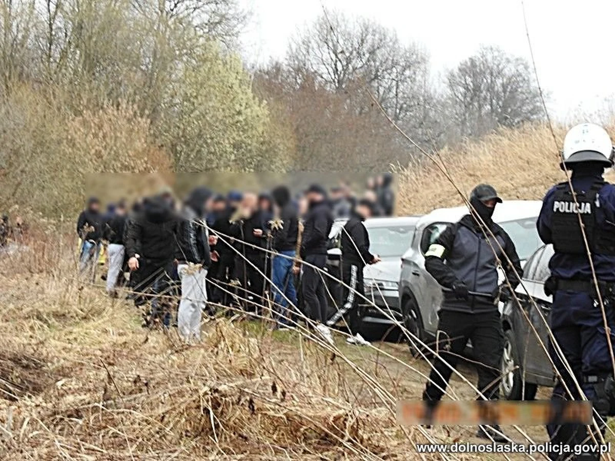 Policjantom z Dolnego Śląska udało się zapobiec masowej bójce pseudokibiców. Funkcjonariusze wylegitymowali 83 osoby, które przygotowywały się do starcia z kibicami dwóch rywalizujących ze sobą drużyn. Na miejscu zabezpieczono rękawice, ochraniacze i kominiarki.
