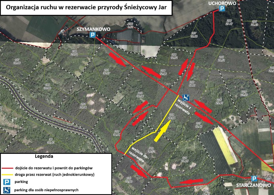 /Nadleśnictwo Łopuchówko /