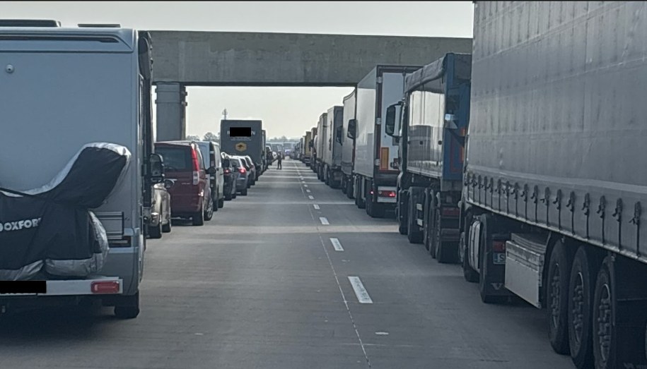 /Zdjęcie nadesłane do redakcji