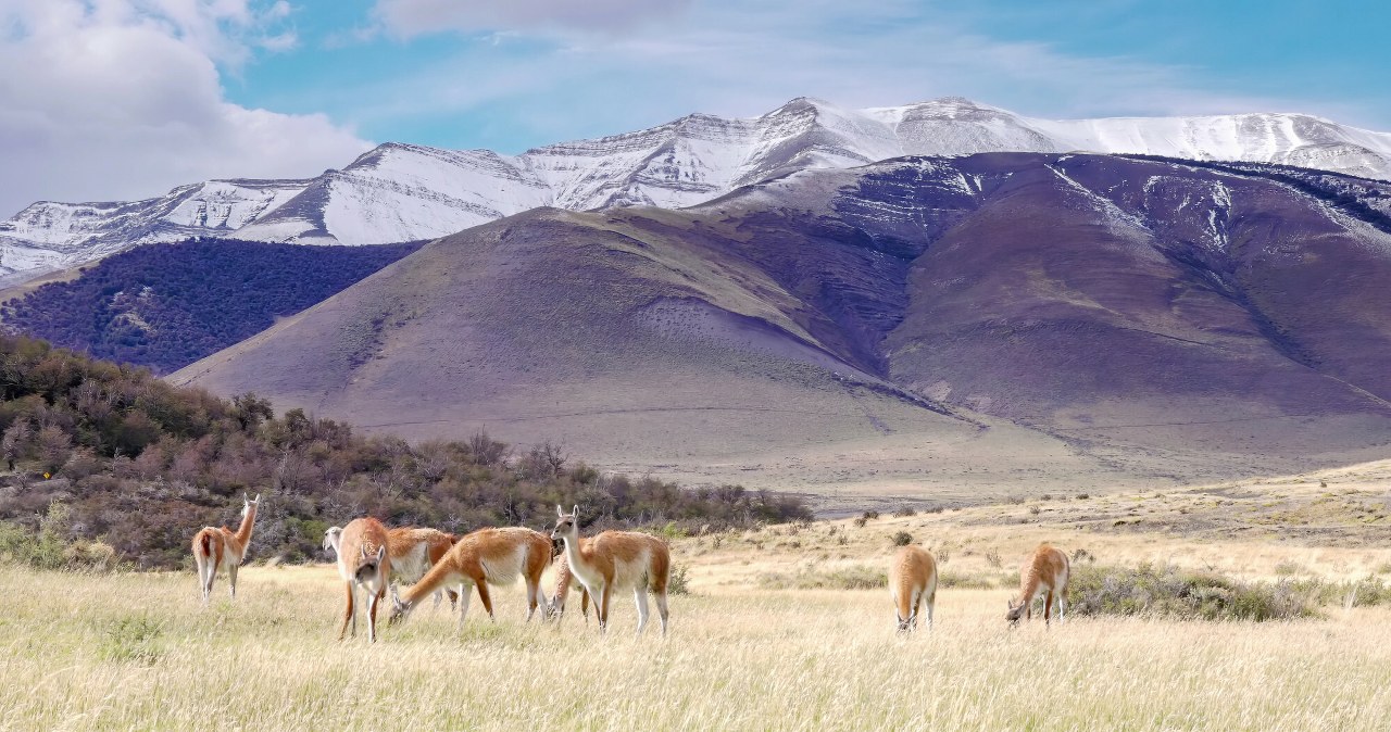 Polak złamał regulamin parku. 60 tys. zł mandatu i zakaz wjazdu do kraju Polak złamał regulamin parku. 60 tys. zł mandatu i zakaz wjazdu do kraju