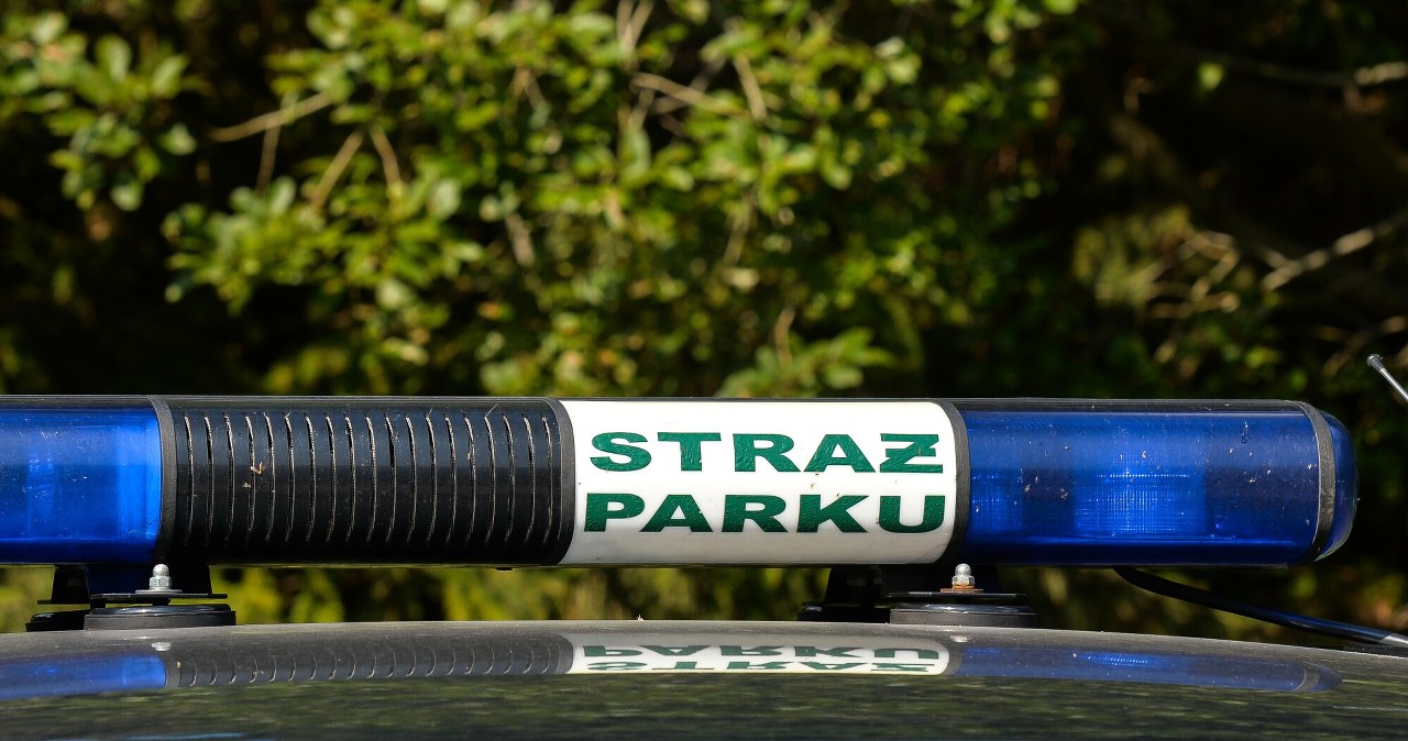 Pracownik TPN prześledzi prywatne profile turystów i nałoży mandat