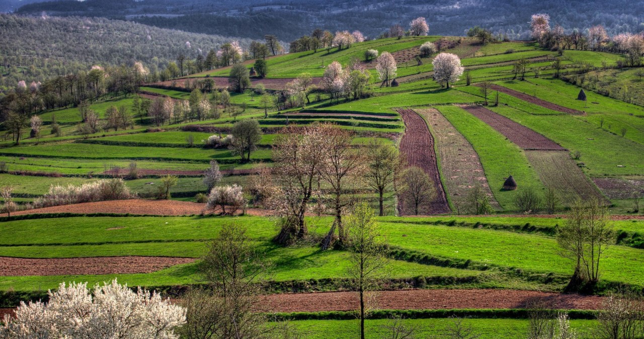 Czy znasz przysłowia związane z wiosną? Schody zaczynają się w pytaniu nr 3