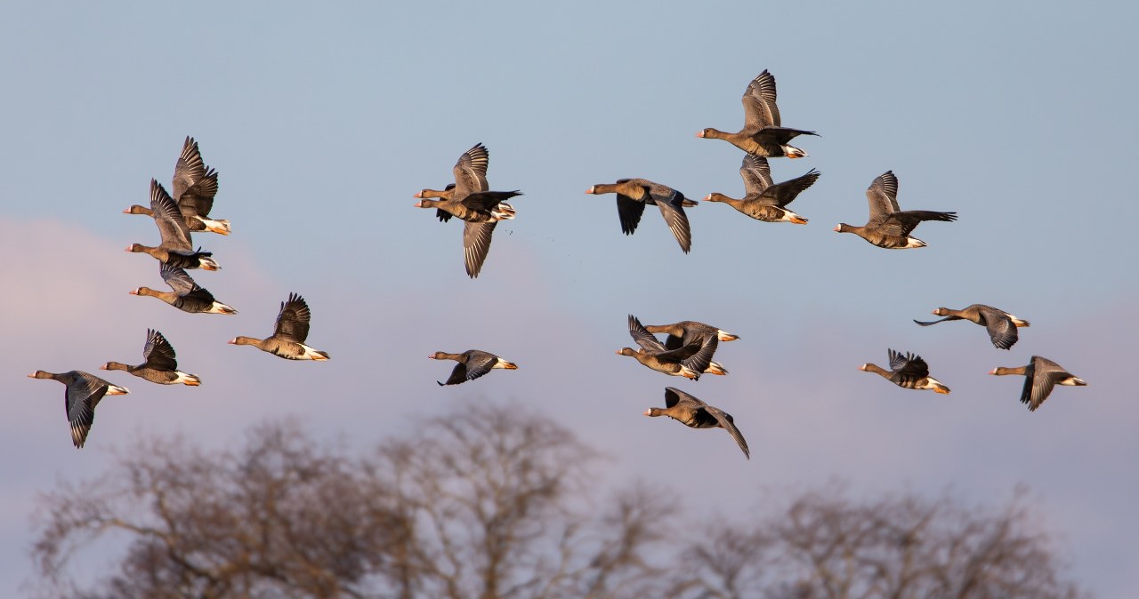 Zdrowa alternatywa dla "city break". Pomaga na nerwy i koncentrację