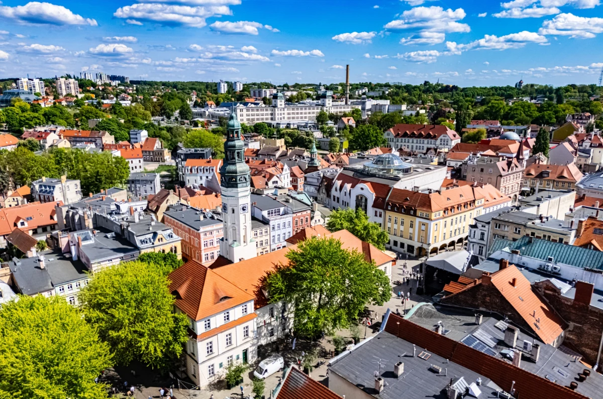 Polskie miasta sukcesywnie powiększają obszary leśne. Największy wzrost odnotował Wrocław, a Zielona Góra pozostaje liderem pod względem udziału lasów w powierzchni miasta – wynika z najnowszego raportu.