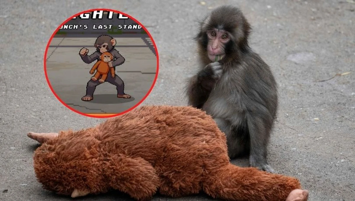 Historia porzuconego przez matkę Puncha wzruszyła internautów na całym świecie. Małpka z pluszowym orangutanem w łapkach stała się tak rozpoznawalna, że Richie Branson postanowił uczynić makaka bohaterem gry przeglądarkowej. 