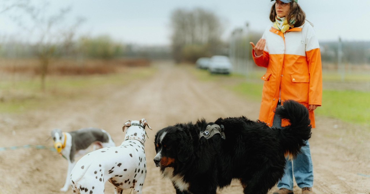 To moment, w którym dochodzi do tragedii. Specjalistka apeluje do rodziców