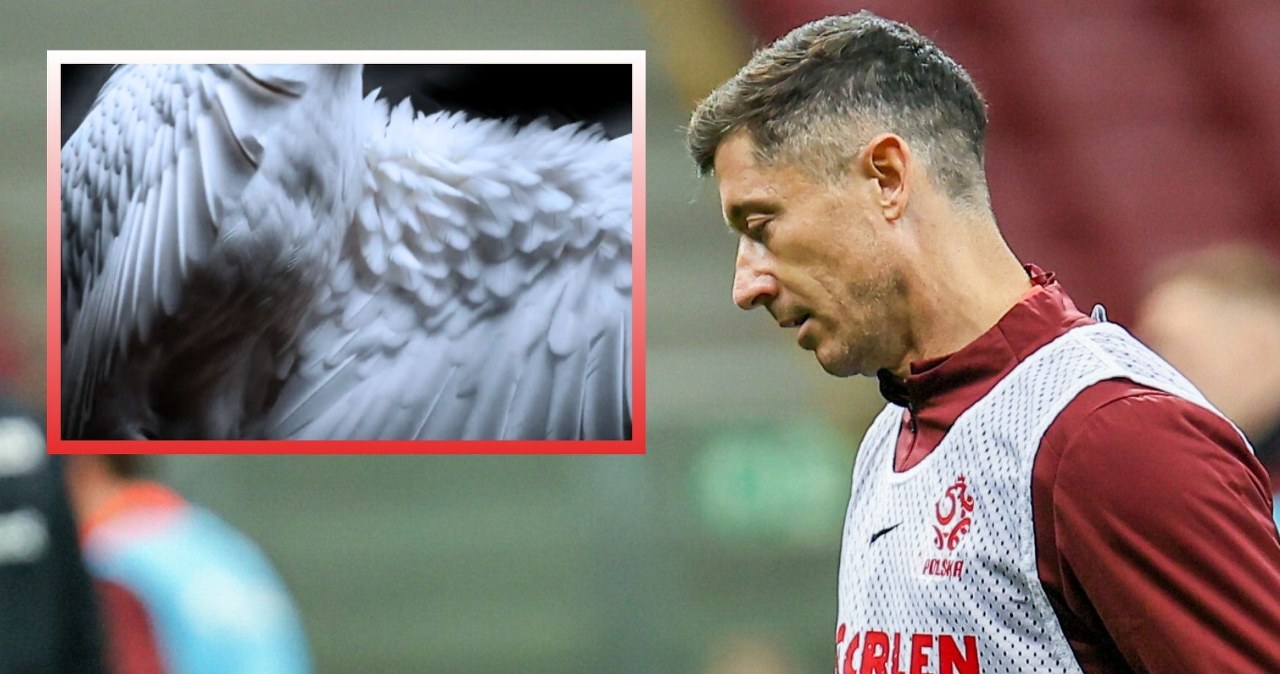 "Ale wstyd!" Oto nowa koszulka reprezentacji Polski. Kibice są wściekli