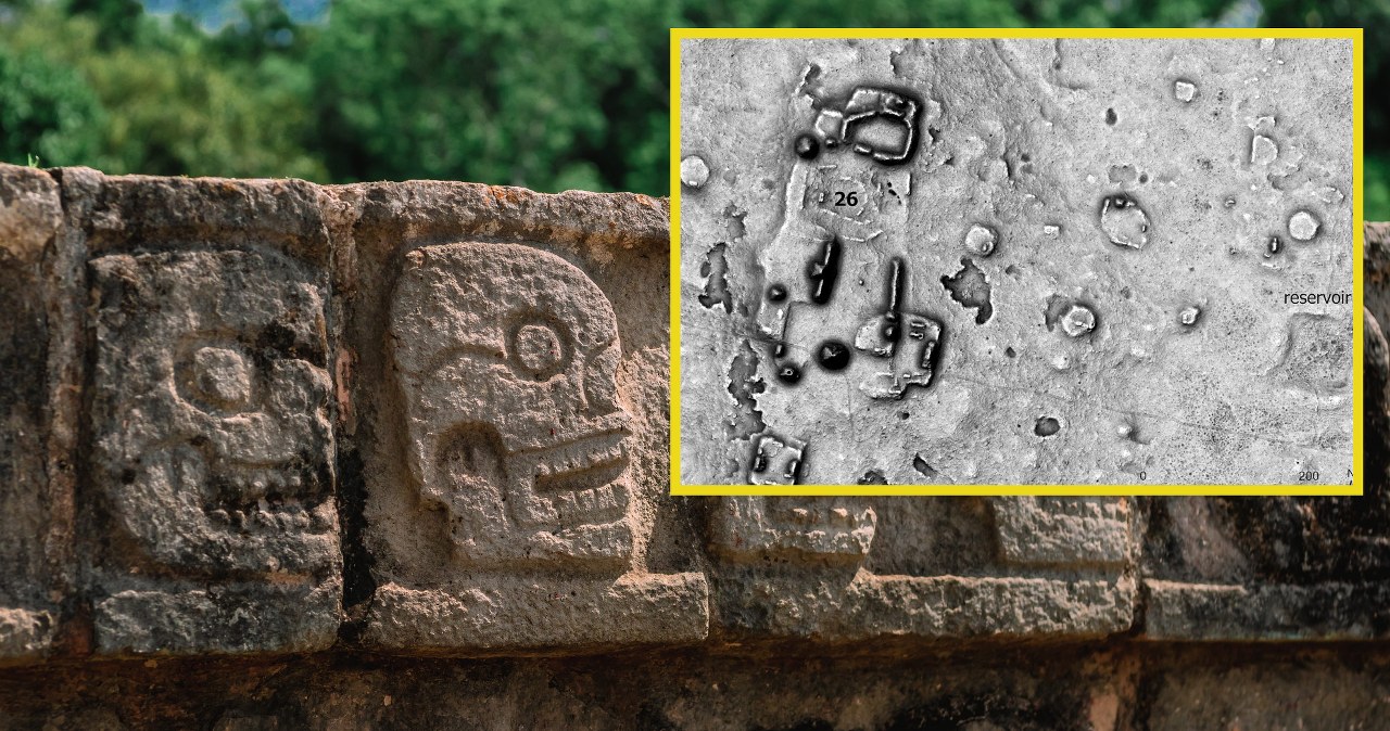 To wyłoniło się z lasu. Budowle zadziwiły archeologów