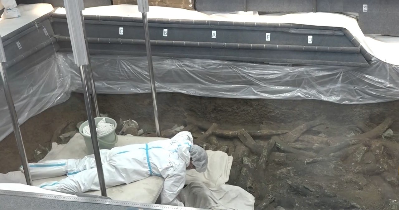 Tylko 13 takich artefaktów odkryto w Chinach. Ten jest wyjątkowy