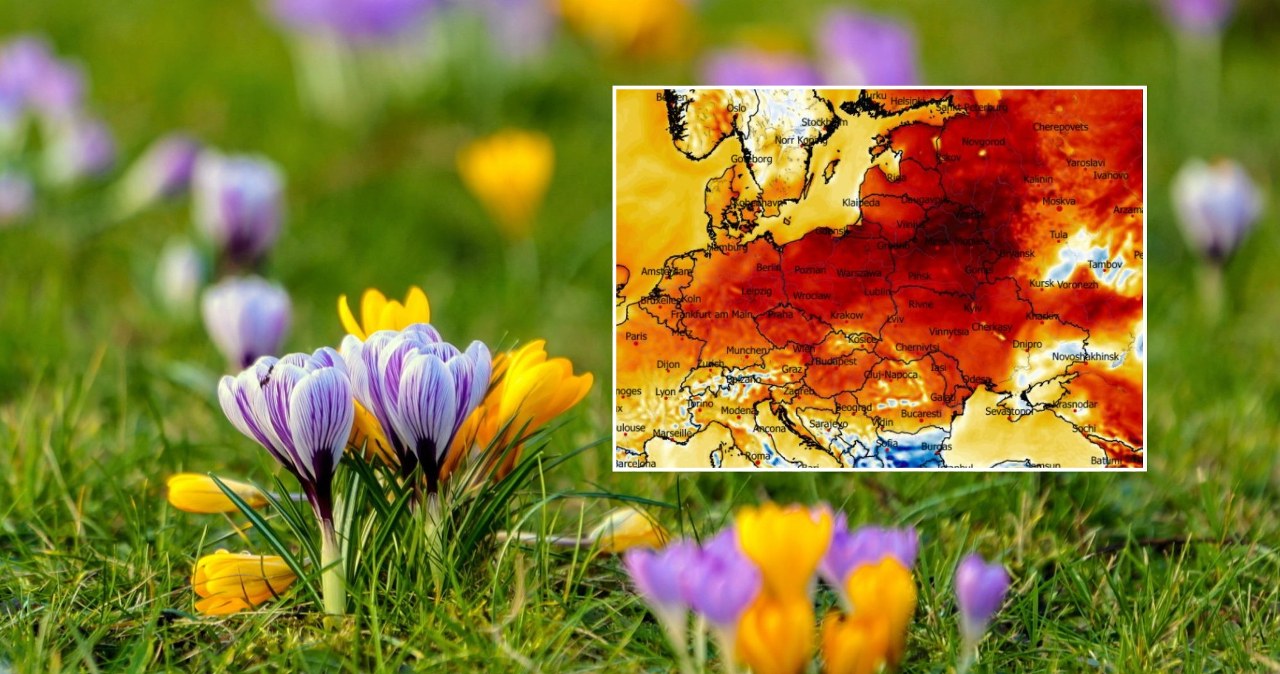 Dzień wypełniony wiosną. Noc zdecydowanie gorsza