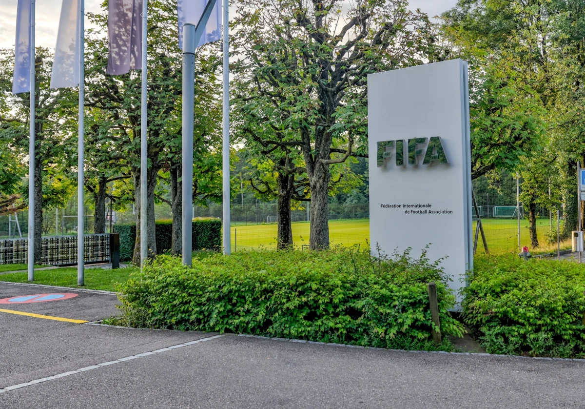 Europejska Federacja Kibiców (FSE) oraz organizacja Euroconsumers złożyły oficjalną skargę do Komisji Europejskiej przeciwko FIFA. Zarzucają światowej federacji piłkarskiej nadużywanie pozycji monopolisty, wygórowane ceny biletów na tegoroczne mistrzostwa świata oraz nieuczciwe i nieprzejrzyste procedury ich sprzedaży.