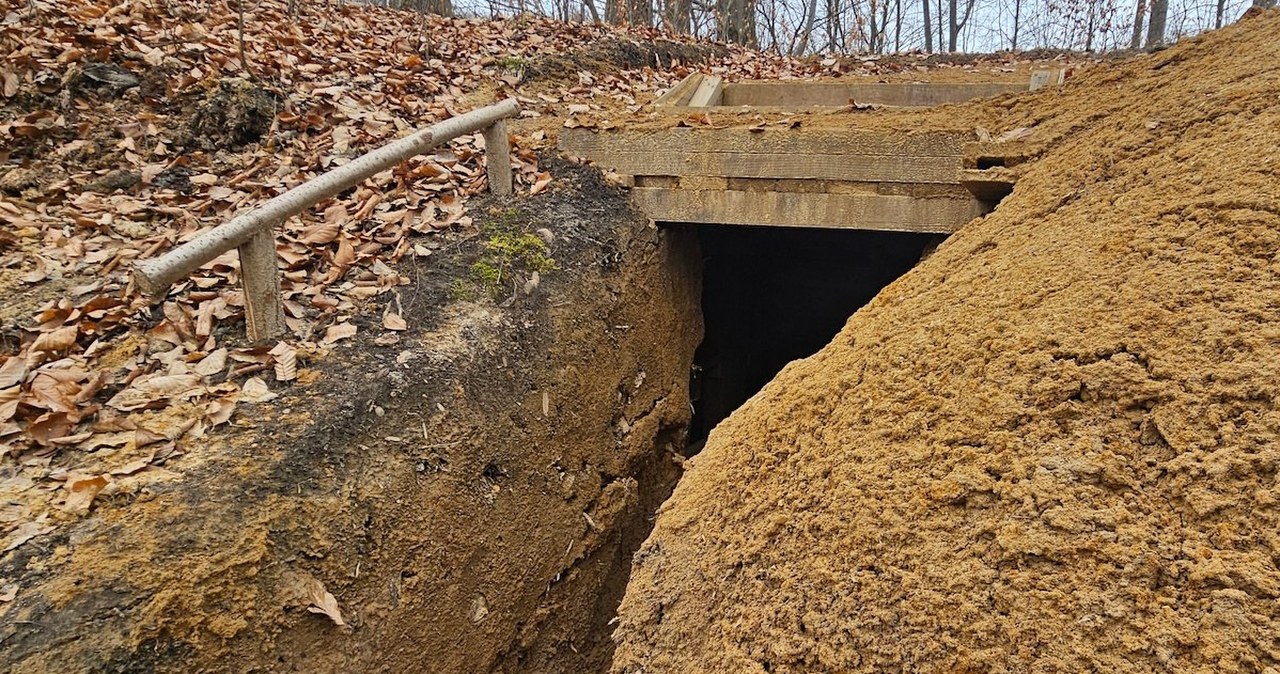 Nielegalna ziemianka odkryta na XIII-wiecznym grodzisku w Krzykawce