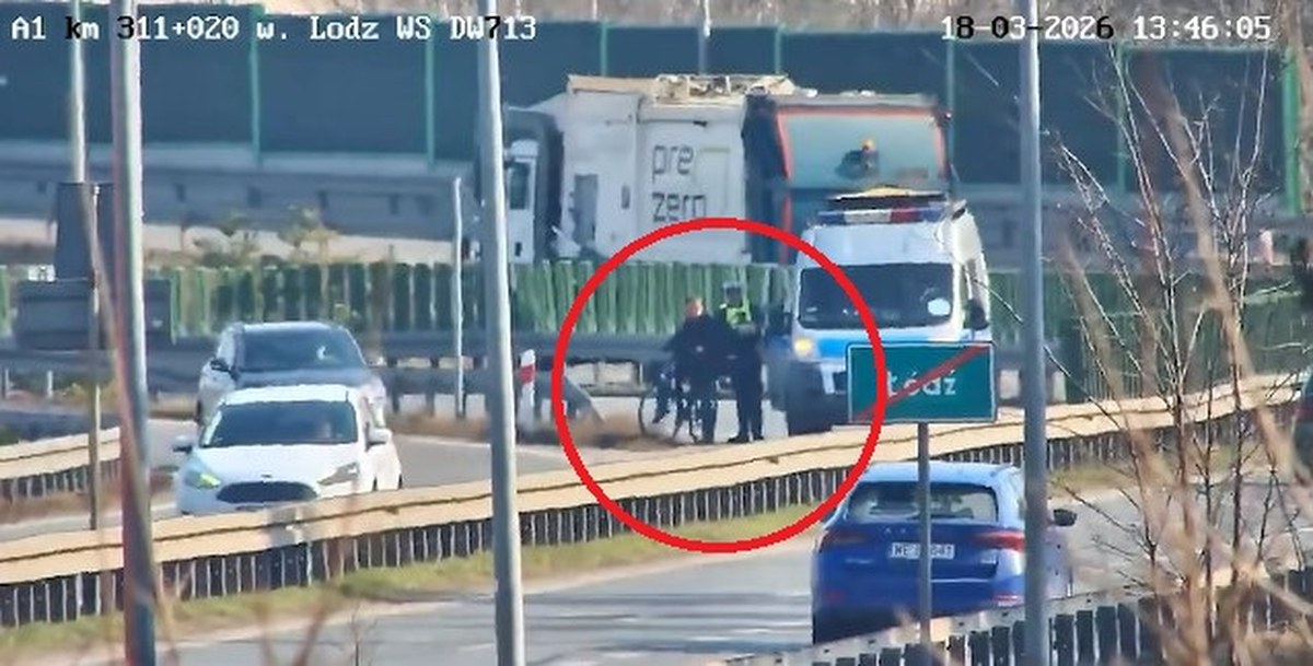 Poniosła go fantazja. Rowerzysta ukarany za jazdę autostradą