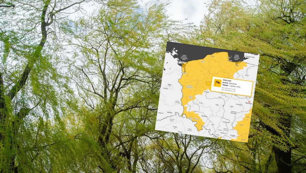 Siedem województw z ostrzeżeniami IMGW. Alerty I stopnia przed silnym wiatrem dotyczą północno-zachodniej Polski oraz południa woj. dolnośląskiego.