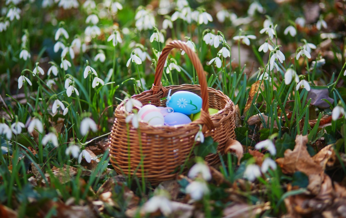 Jaka pogoda w Wielkanoc? Synoptycy nie mają dobrych wieści