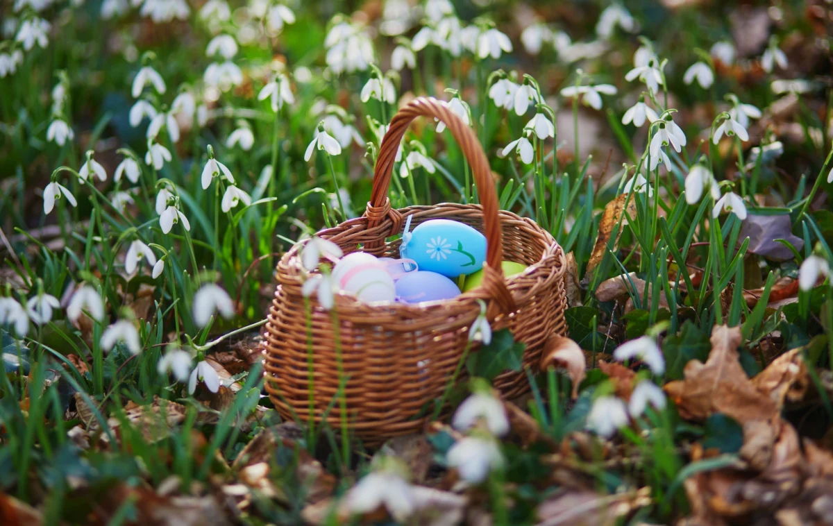 Wielkanoc to czas rodzinnych spotkań i świątecznych wyjazdów, a pogoda odgrywa w tych planach niebagatelną rolę. Jakie warunki atmosferyczne czekają nas w tym roku podczas świątecznego weekendu? Synoptycy Instytutu Meteorologii i Gospodarki Wodnej nie mają dobrych wieści...