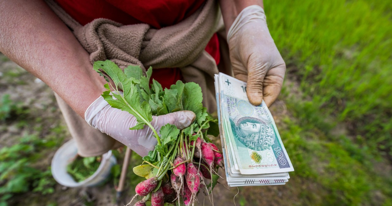 Oto najwyższa emerytura rolnicza w Polsce. Dość zaskakująca kwota