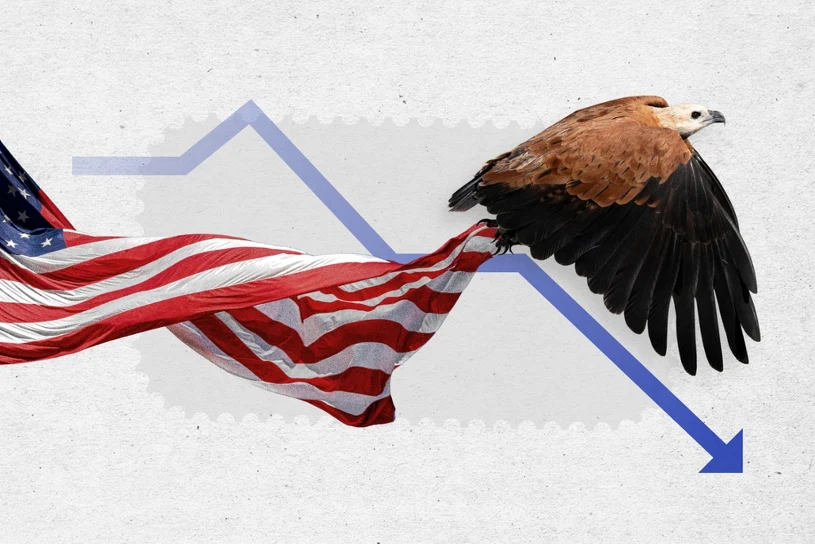 "The New York Times": W Stanach Zjednoczonych znikają ptaki