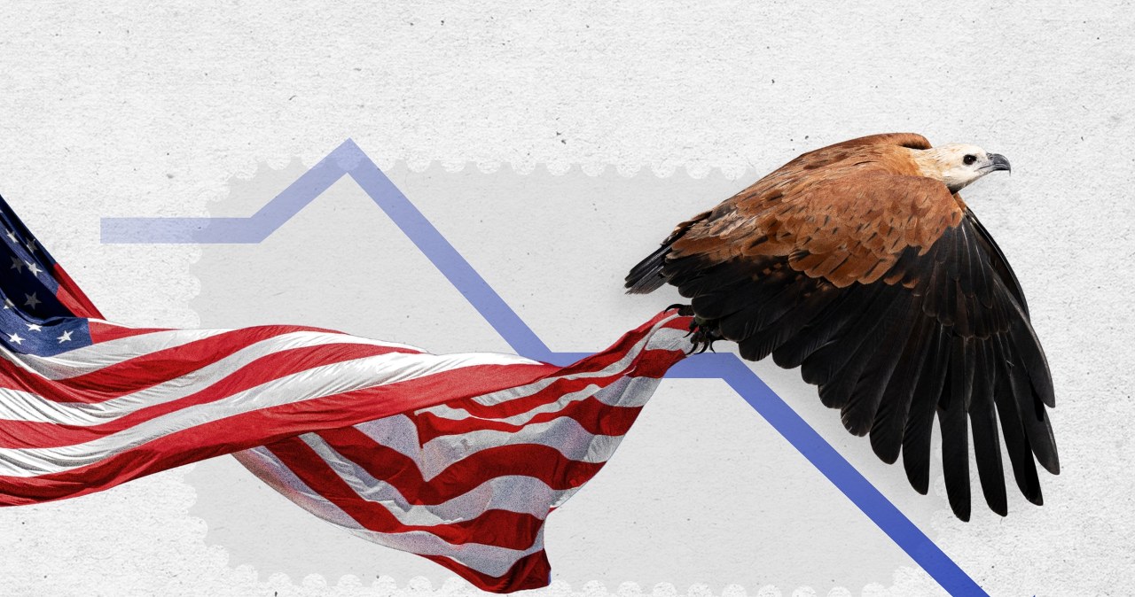 "The New York Times": W Stanach Zjednoczonych znikają ptaki