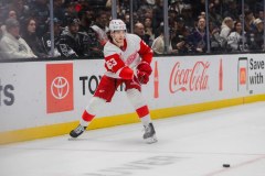 Hokej: NHL - mecz: Detroit Red Wings - Minnesota Wild