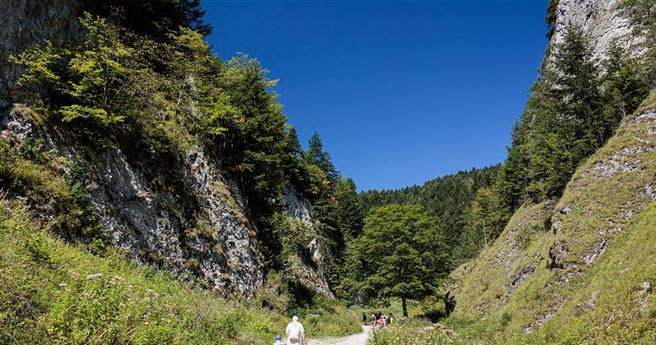 Wąwóz Szopczański wygląda jak z filmu. Idealny na wiosenną wycieczkę