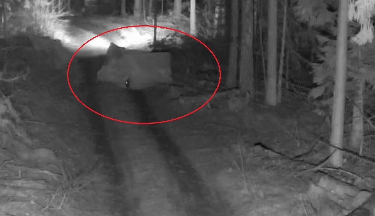 W środę litewscy pogranicznicy zatrzymali rekordową w tym roku liczbę 29 migrantów próbujących nielegalnie przedostać się z Białorusi. Część z nich zastosowała dotąd niespotykaną metodę ukrywania się - wydarzyło się to podczas przekraczania granicy przez rezerwat Čepkelių.