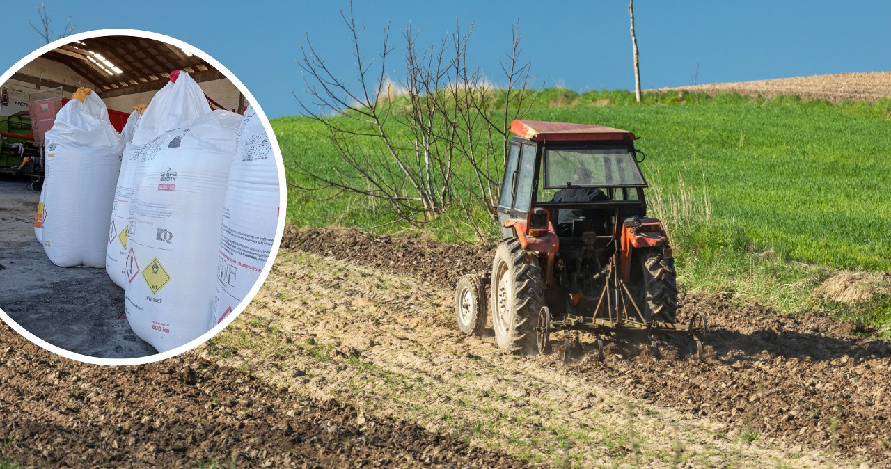 Najpierw zapłacą rolnicy, później konsumenci. "Kiepsko to wygląda"