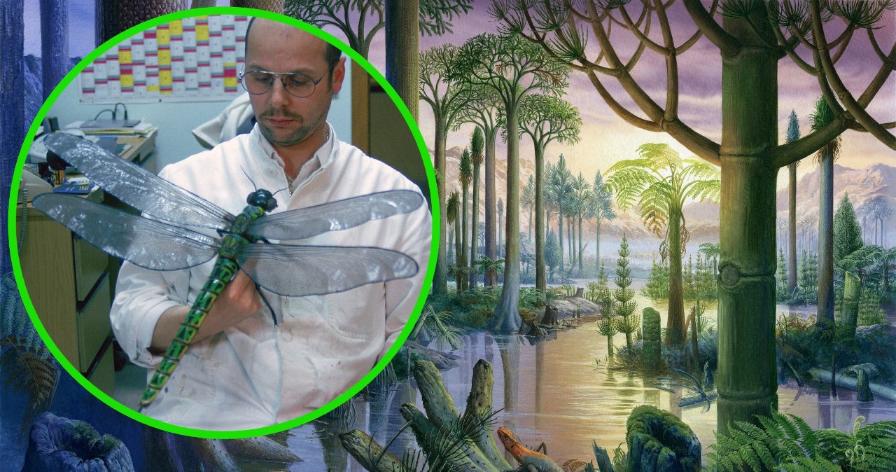 Naukowiec odkrył, czemu insekty kiedyś były ogromne, a już nie są