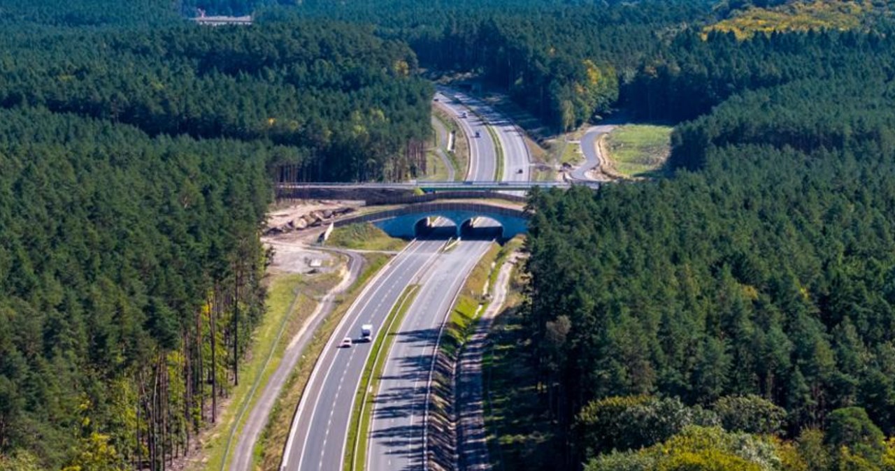 Nawet 290 km nowych dróg w 2026 roku. Szybka trasa wzdłuż Bałtyku coraz bliżej