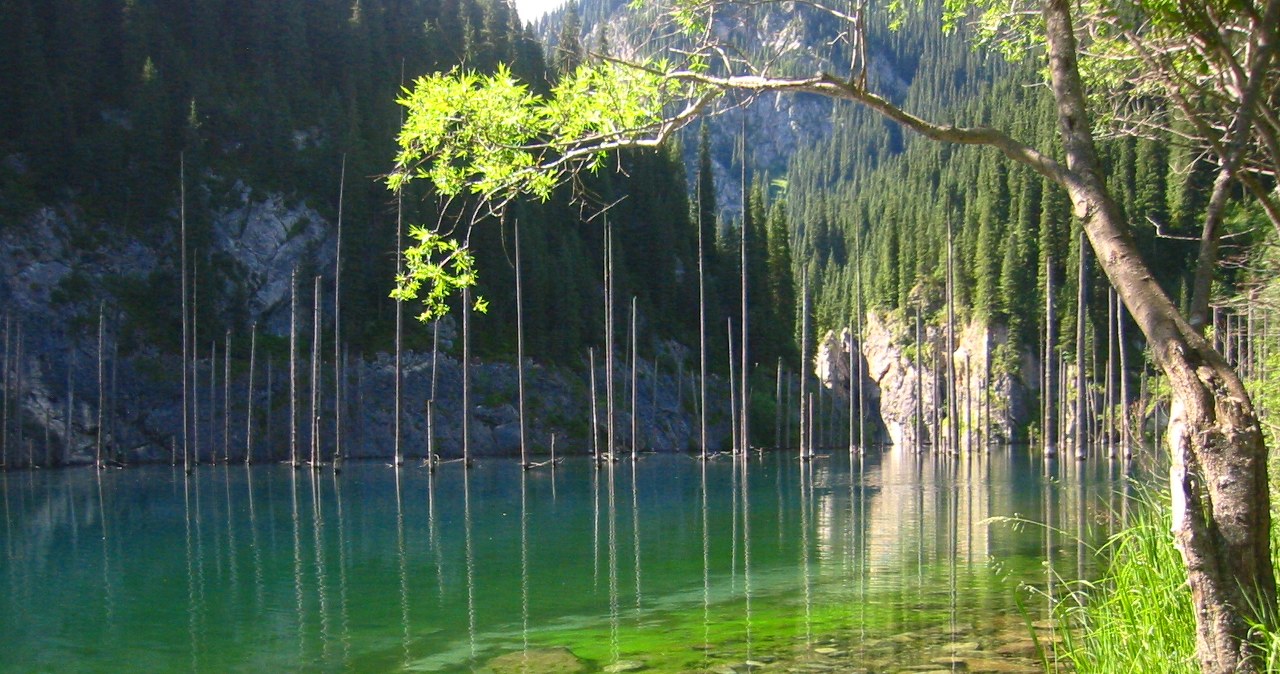 Z tego jeziora wyrasta martwy las. To efekt trzęsienia ziemi sprzed 100 lat Z tego jeziora wyrasta martwy las. To efekt trzęsienia ziemi sprzed 100 lat