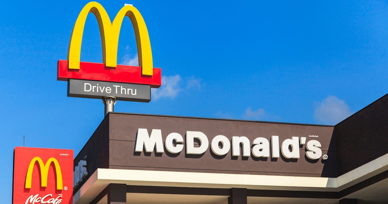 Obawiali się, iż AI zabierze im pracę. Tymczasem robią to… humanoidy!