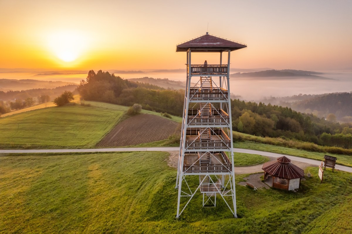 Arabowie, Brytyjczycy i Amerykanie pokochali ten polski region. Padły rekordy