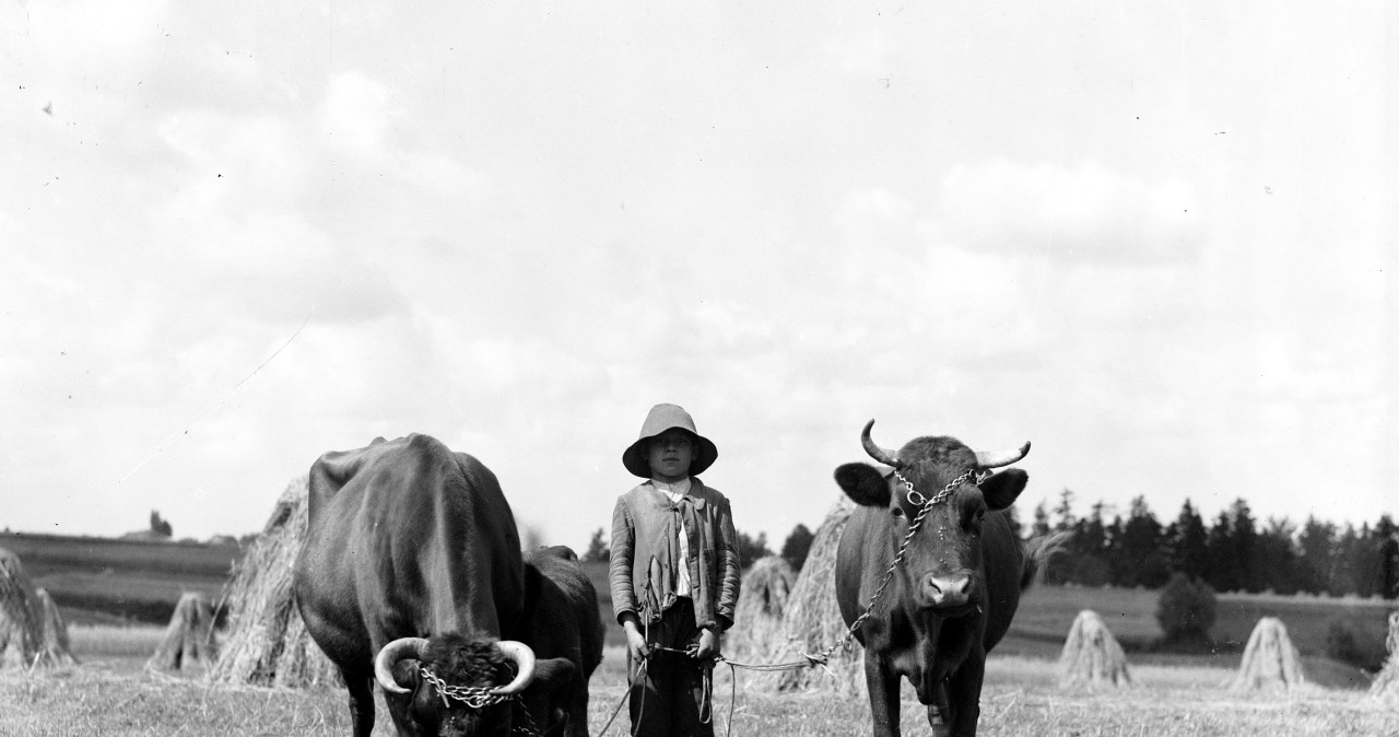 Życie na dawnej wsi: Nieślubnym dzieciom nadawano charakterystyczne imiona