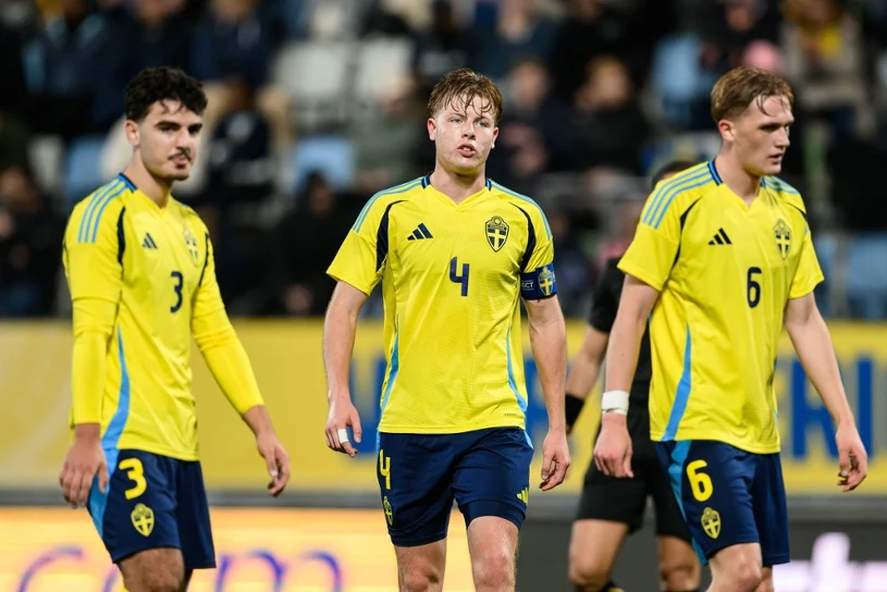 Radość Polaków, a Szwecja traci szansę na mistrzostwa. Rozpacz Skandynawów