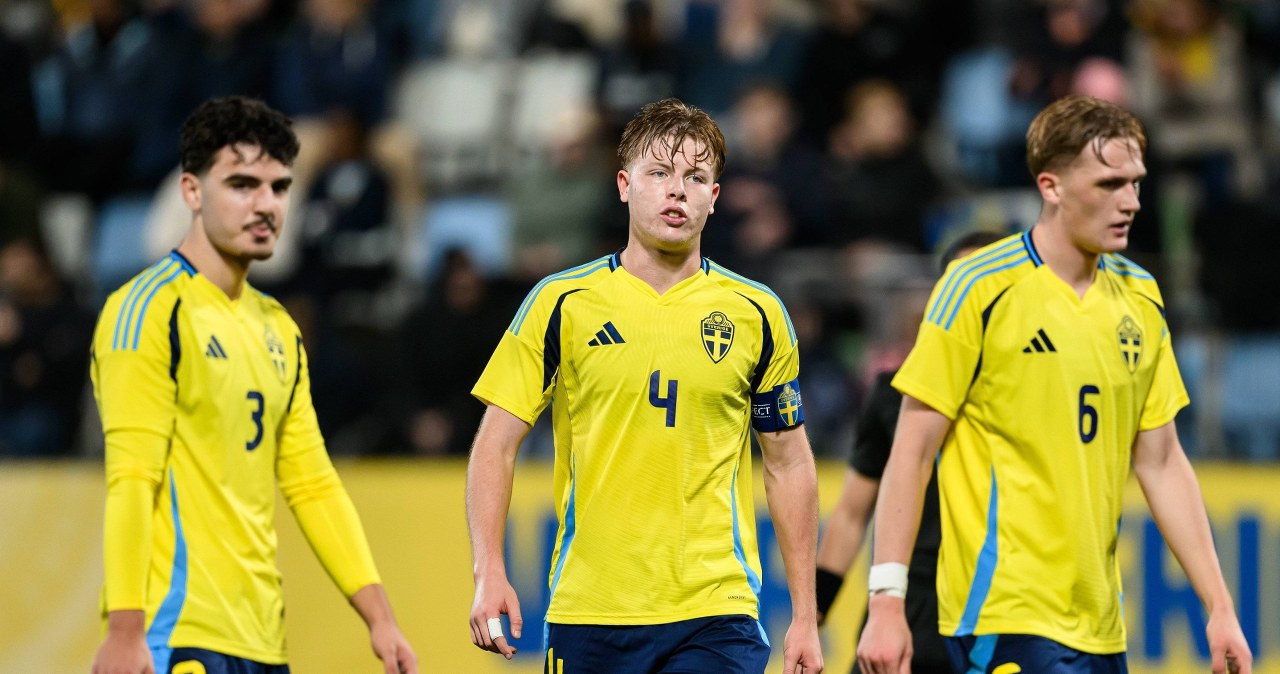 Radość Polaków, a Szwecja traci szansę na mistrzostwa. Rozpacz Skandynawów