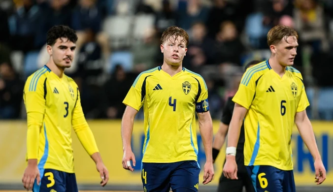 Radość Polaków, a Szwecja traci szansę na mistrzostwa. Rozpacz Skandynawów