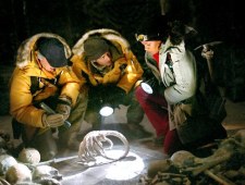 Obcy kontra Predator