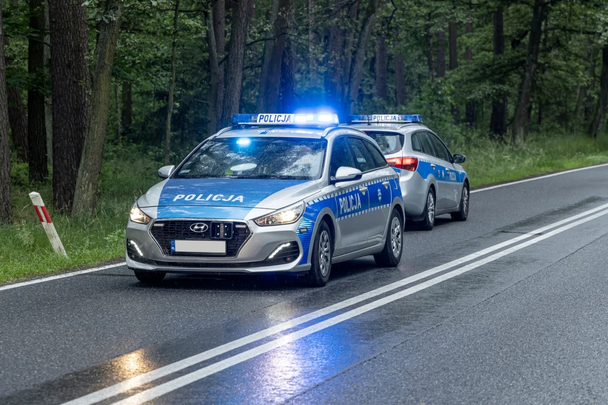 Niezidentyfikowany obiekt spadł w lesie w miejscowości Rudnik, niedaleko Mińska Mazowieckiego. Policja potwierdziła informację, którą dostaliśmy na Gorącą Linię RMF FM. 
