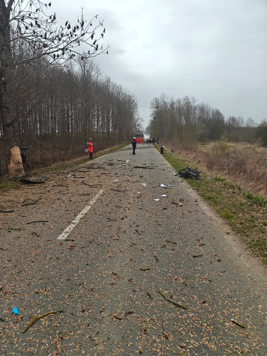 /Komenda Miejska Policji w Elblągu