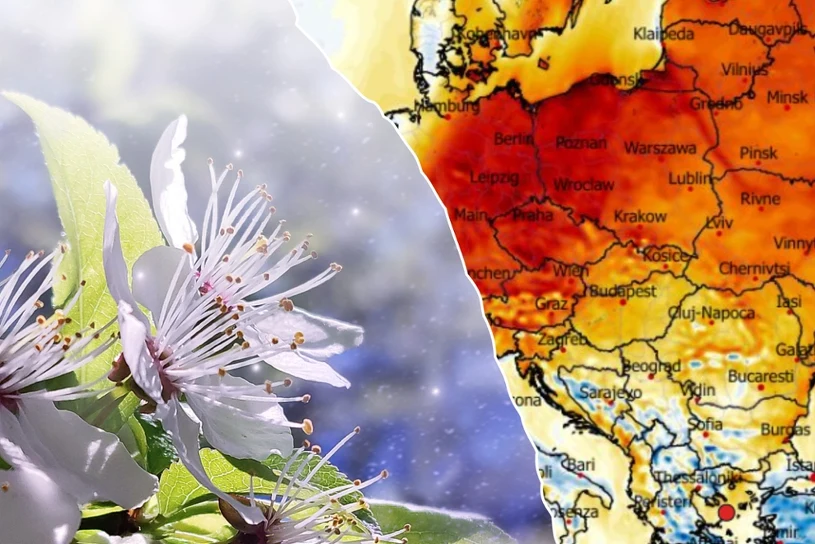 "Najpierw chłodno, potem choćby 20 stopni". Wiemy, co się stanie w święta